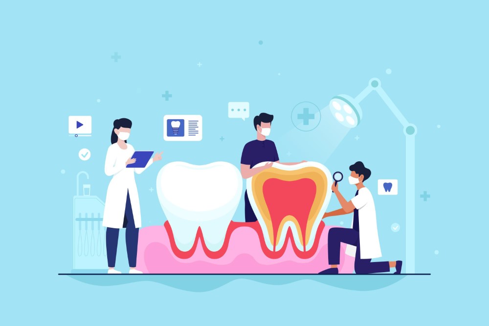 Orthodontist clinic's vector image